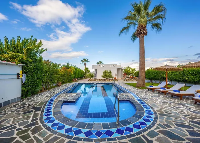 Palmeras Villa Soroni