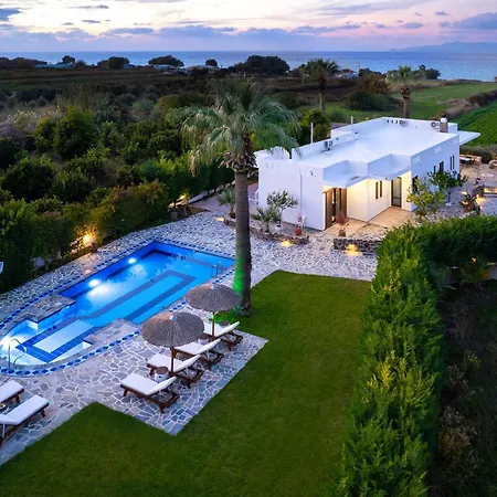 Palmeras Σορωνή